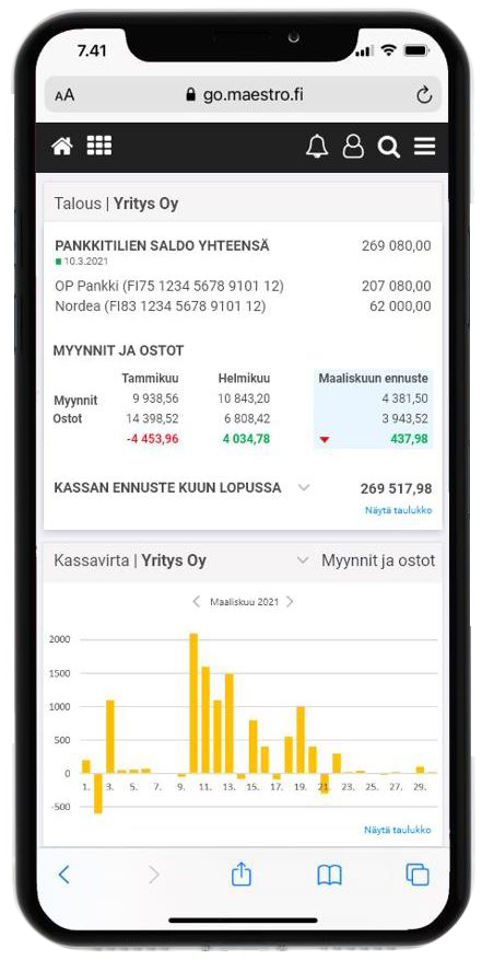 MaestroUP - kattava ohjelmisto yrityksen talouden hallintaan